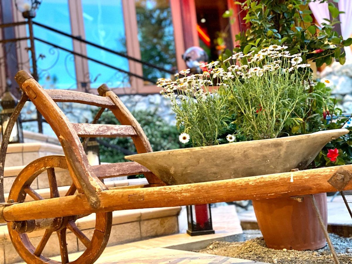 Istvan Parkhotel Es Gasztrofarm Sormás エクステリア 写真