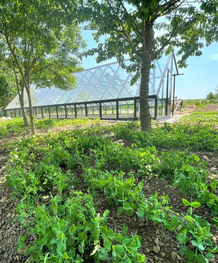 Istvan Parkhotel Es Gasztrofarm Sormás エクステリア 写真