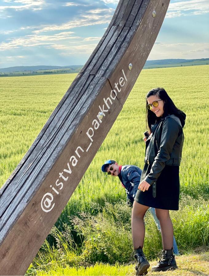 Istvan Parkhotel Es Gasztrofarm Sormás エクステリア 写真