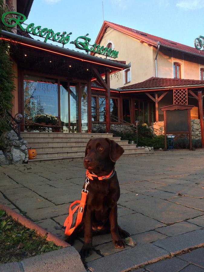 Istvan Parkhotel Es Gasztrofarm Sormás エクステリア 写真